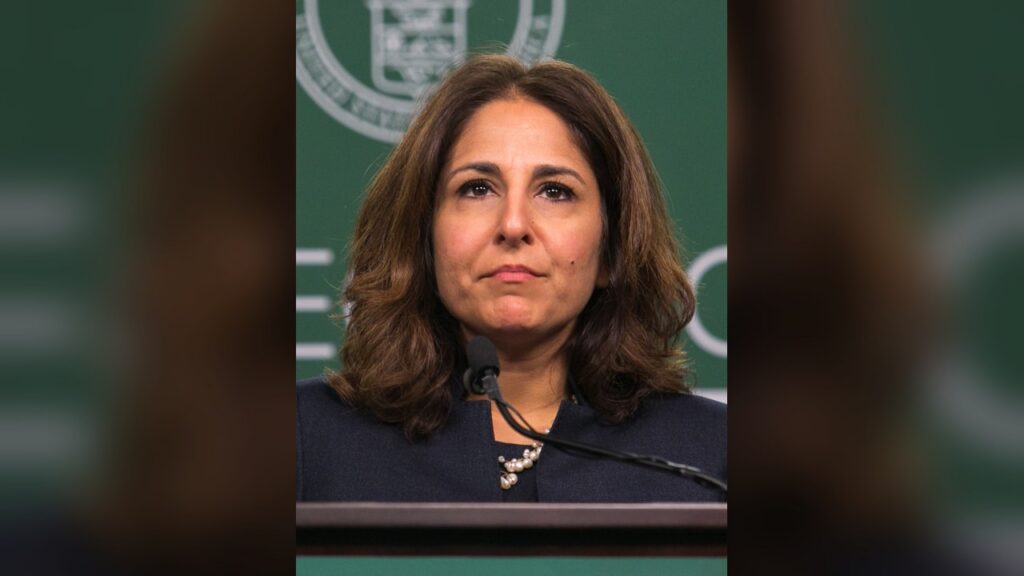 Neera Tanden, architect of the think-tank wing of the Democratic party.