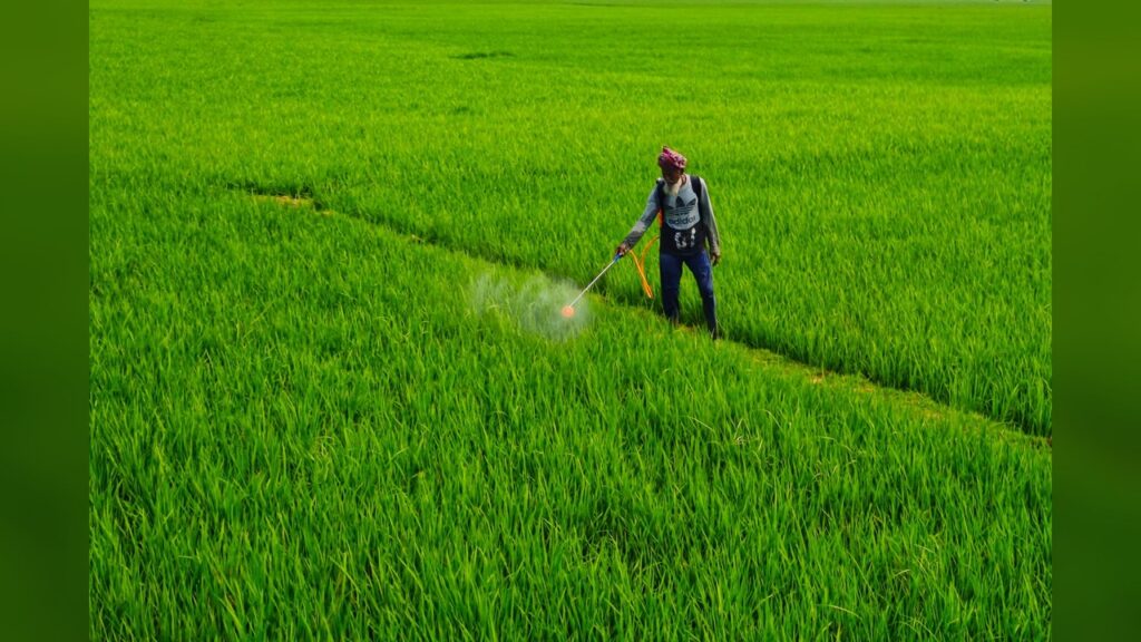paraquat, Highly toxic herbicide linked to Parkinson's disease and other health issues.
