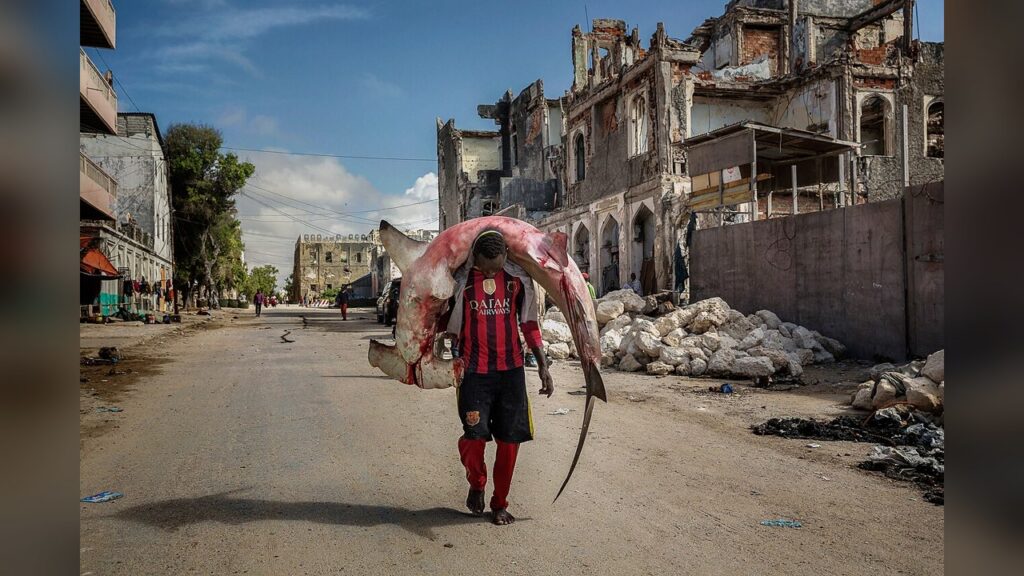 Somalia, a country where armed conflict is ongoing and where the 1,100 Somalis now face deportation.