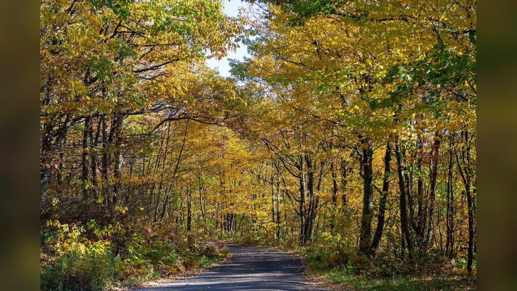 The National Forest System is the land management system affected by the proposed rule change.