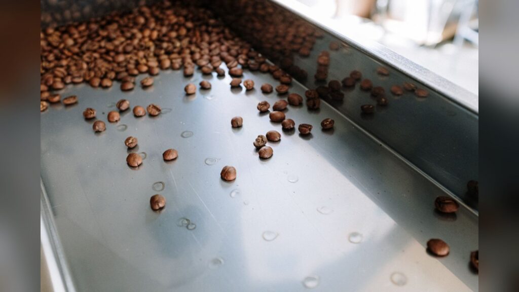 Sands Coffee Roasters, Brick-and-mortar coffee shop in San Diego started as a little cart.