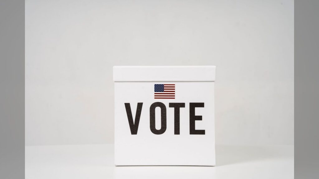 17-page draft executive order, The fabricated 17-page plan using a China interference lie to mandate voter ID.